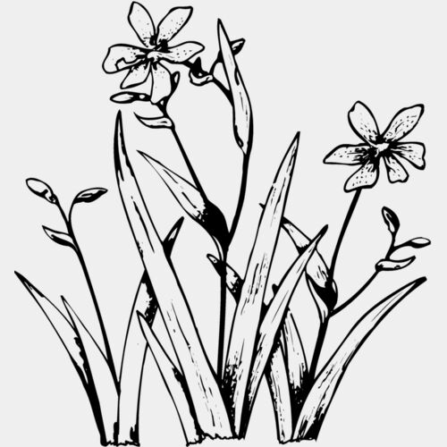 FLOWER19 Thumbnail