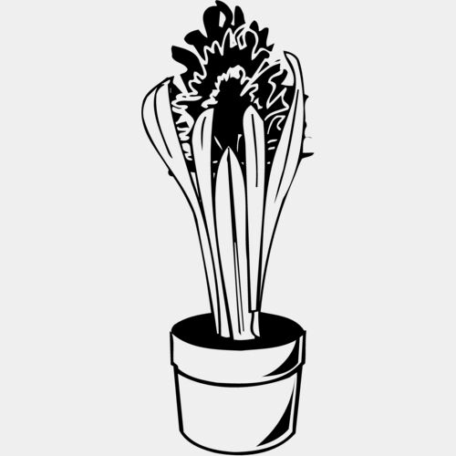 PLANT07 Thumbnail