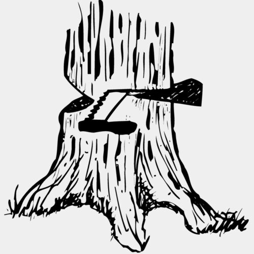 TIMBER13 Thumbnail