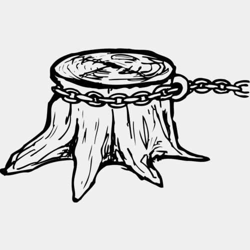 TIMBER15 Thumbnail