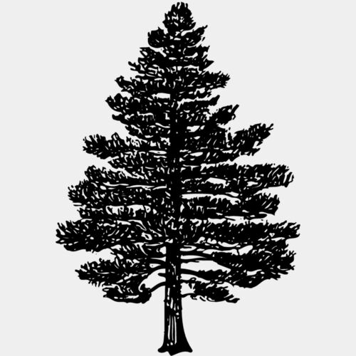 TREE0003 Thumbnail