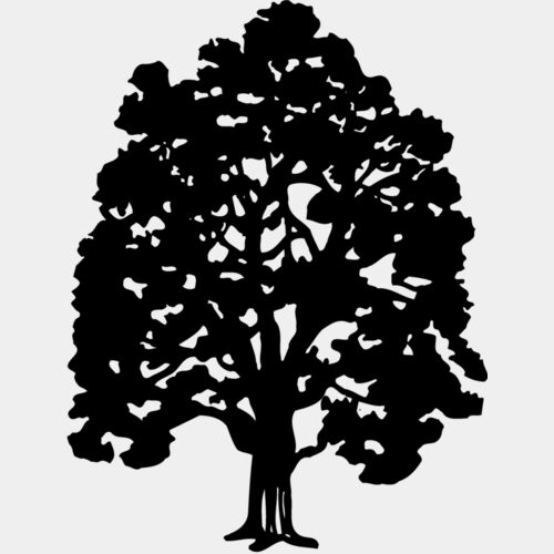 TREE0008 Thumbnail