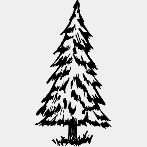 TREE0011 Thumbnail