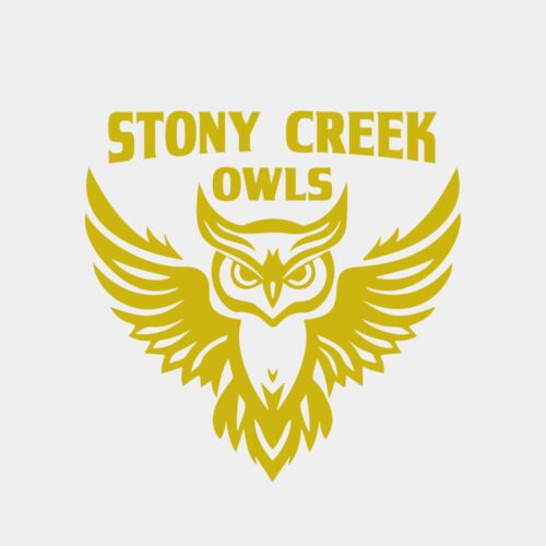 School Owls 04 Thumbnail