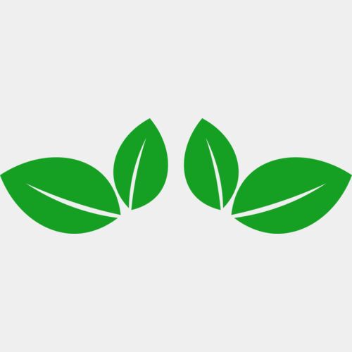 11 Leaves Thumbnail