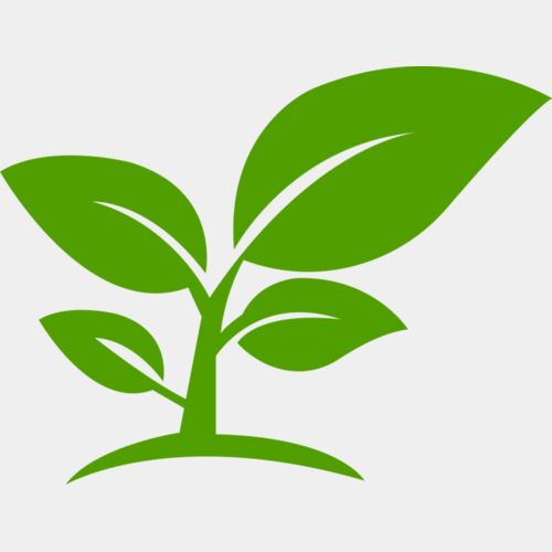 12 Leaves Thumbnail