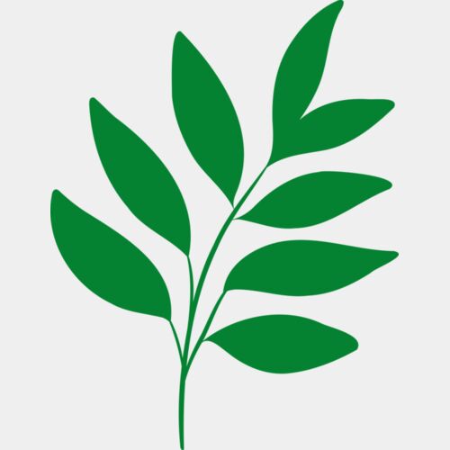 17 Leaves Thumbnail