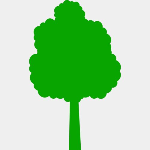 41 Tree Thumbnail