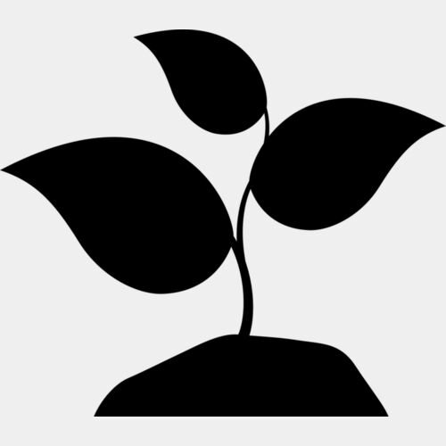 42 Plant Thumbnail