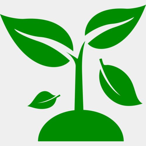 48 Plant Thumbnail