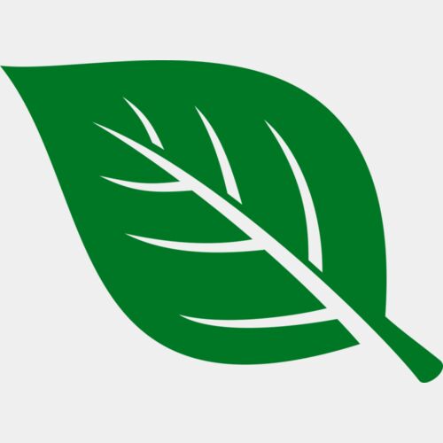 Leaf Thumbnail