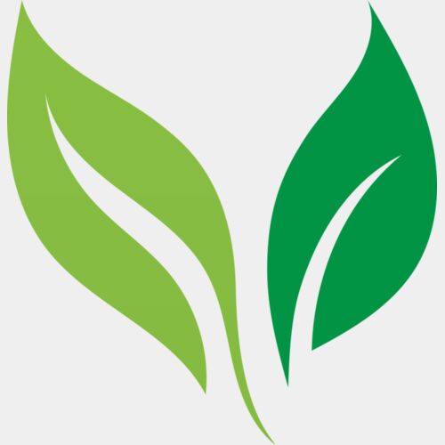 Leaves Thumbnail