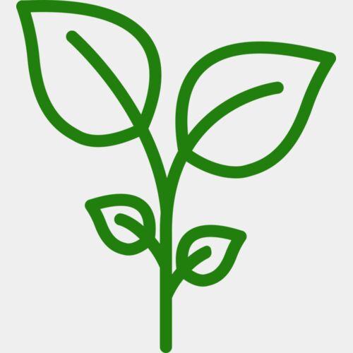 Plant Thumbnail