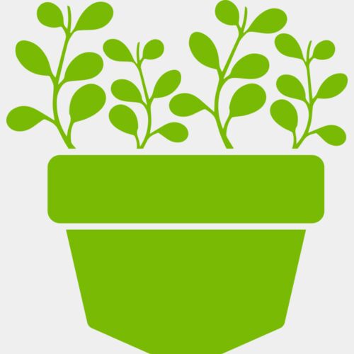 Succulent Plant 3 Thumbnail