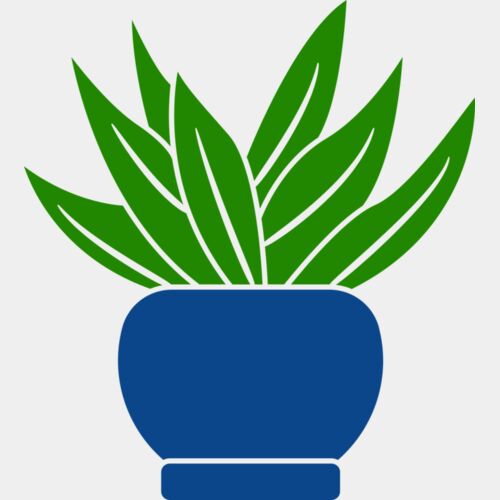 Succulent Plant 2 Thumbnail