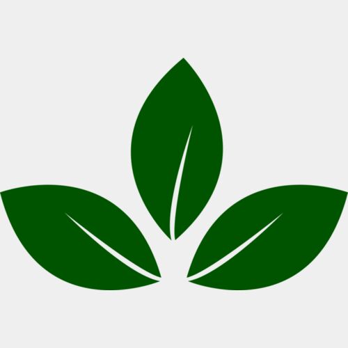 Leaves 5 Thumbnail