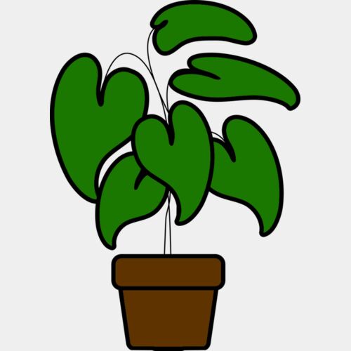 Plant Thumbnail