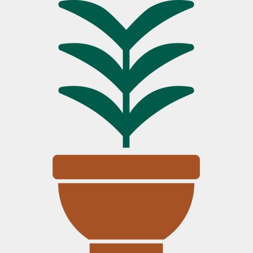 Plant 2 Thumbnail
