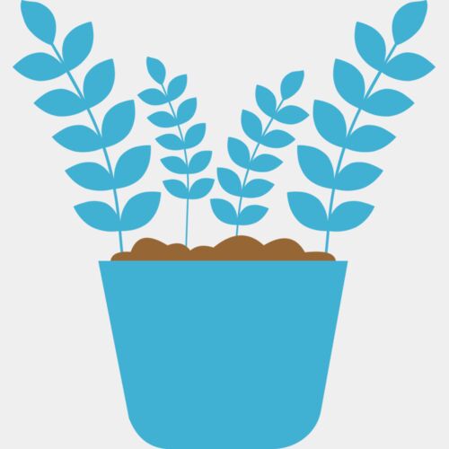 Plant 5 Thumbnail