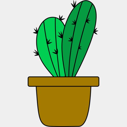 Cactus 4 Thumbnail