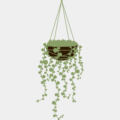 Hanging Plants 3 Thumbnail
