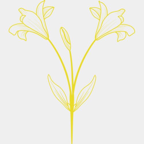Flowers 9 Thumbnail