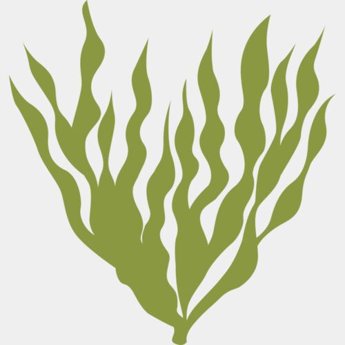 Sea Plants 5 Thumbnail