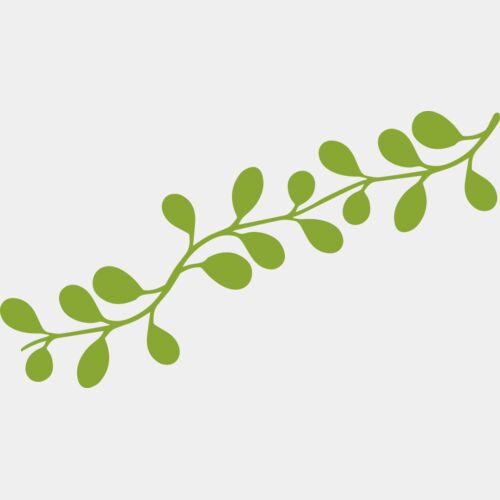Leaves 13 Thumbnail