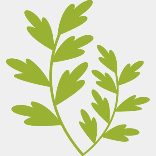 Leaves 11 Thumbnail