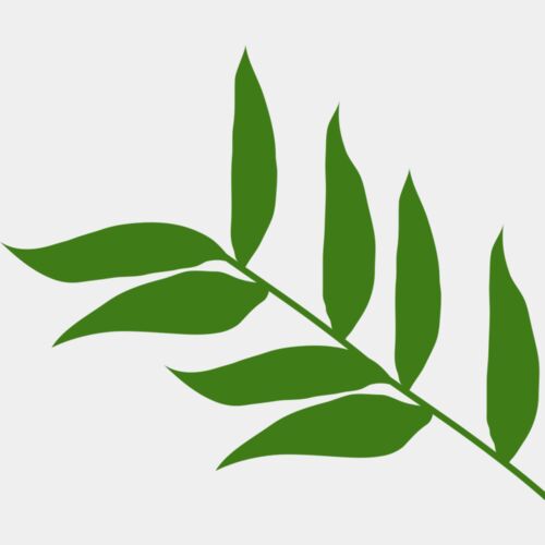 Leaves 5 Thumbnail