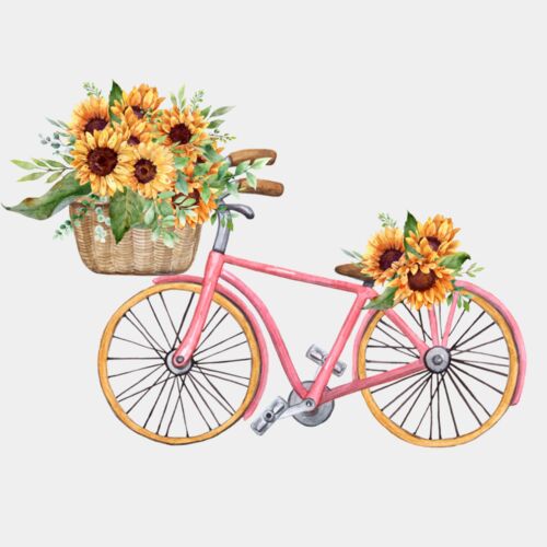 Pink Bike Thumbnail