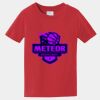 PC Toddler Fan Favorite T-Shirt Thumbnail