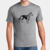 P&C Unisex 4.5oz Fan Favorite Cotton T-Shirt PC450 Thumbnail