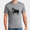 P&C Unisex 4.5oz Fan Favorite Cotton T-Shirt PC450 Thumbnail