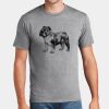 P&C Unisex 4.5oz Fan Favorite Cotton T-Shirt PC450 Thumbnail