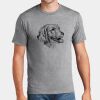 P&C Unisex 4.5oz Fan Favorite Cotton T-Shirt PC450 Thumbnail