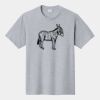 P&C Unisex 4.5oz Fan Favorite Cotton T-Shirt PC450 Thumbnail