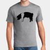 P&C Unisex 4.5oz Fan Favorite Cotton T-Shirt PC450 Thumbnail