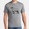 P&C Unisex 4.5oz Fan Favorite Cotton T-Shirt PC450 Thumbnail