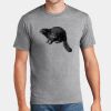 P&C Unisex 4.5oz Fan Favorite Cotton T-Shirt PC450 Thumbnail