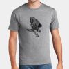 P&C Unisex 4.5oz Fan Favorite Cotton T-Shirt PC450 Thumbnail
