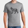 P&C Unisex 4.5oz Fan Favorite Cotton T-Shirt PC450 Thumbnail