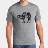 P&C Unisex 4.5oz Fan Favorite Cotton T-Shirt PC450 Thumbnail
