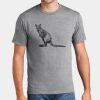 P&C Unisex 4.5oz Fan Favorite Cotton T-Shirt PC450 Thumbnail