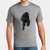 P&C Unisex 4.5oz Fan Favorite Cotton T-Shirt PC450 Thumbnail