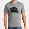 P&C Unisex 4.5oz Fan Favorite Cotton T-Shirt PC450 Thumbnail