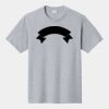 P&C Unisex 4.5oz Fan Favorite Cotton T-Shirt PC450 Thumbnail