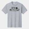 P&C Unisex 4.5oz Fan Favorite Cotton T-Shirt PC450 Thumbnail