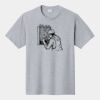 P&C Unisex 4.5oz Fan Favorite Cotton T-Shirt PC450 Thumbnail
