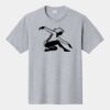 P&C Unisex 4.5oz Fan Favorite Cotton T-Shirt PC450 Thumbnail